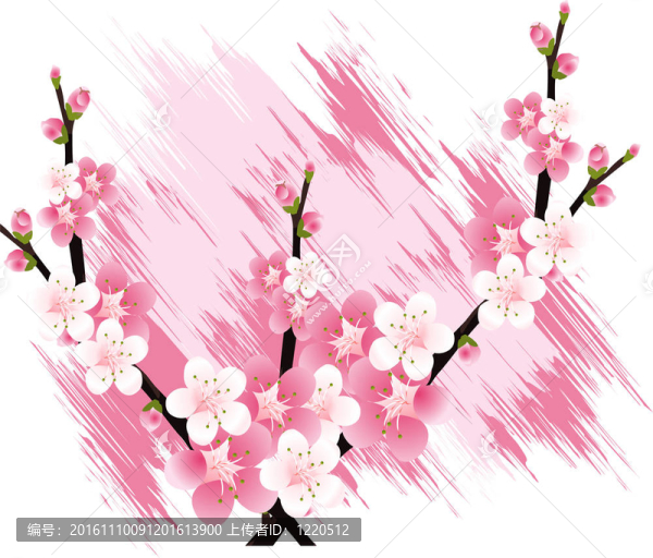 花的插圖
