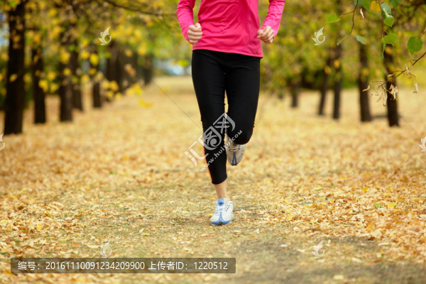 年輕的運動員