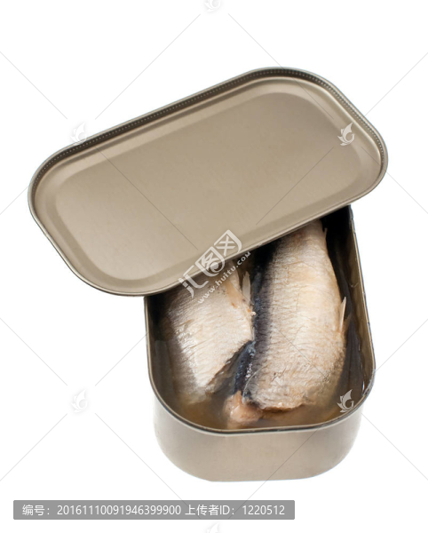 魚