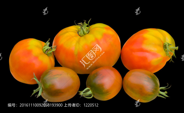 西紅柿5