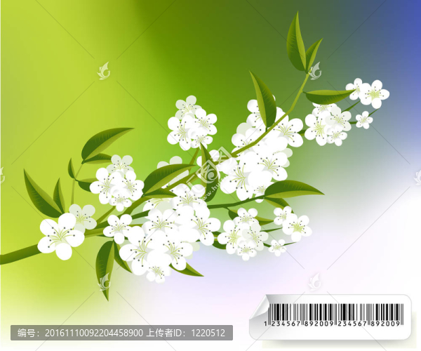 花的插圖