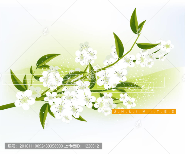 花的插圖