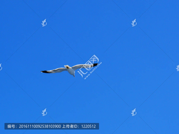 藍(lán)色的天空