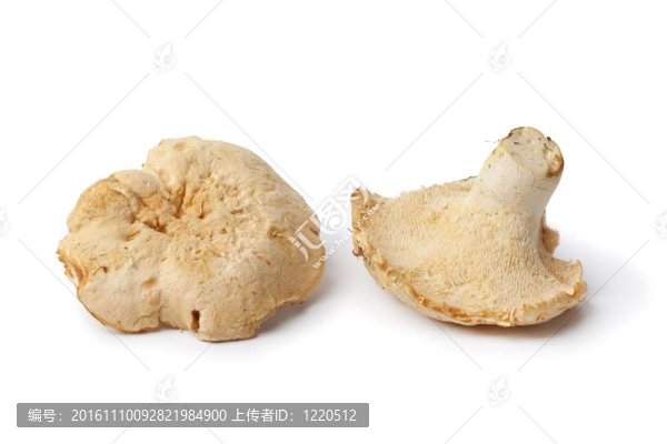 Pied,de,mouton的蘑菇