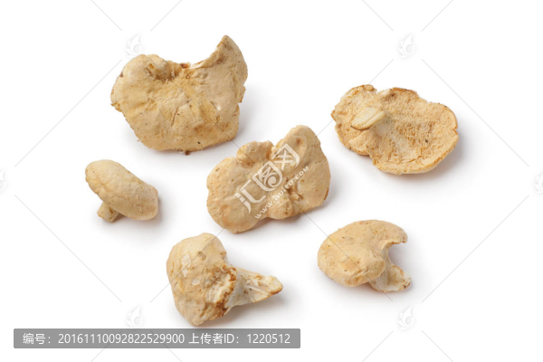 Pied,de,mouton的蘑菇