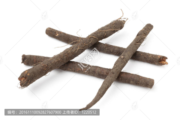新鮮黑婆羅門參