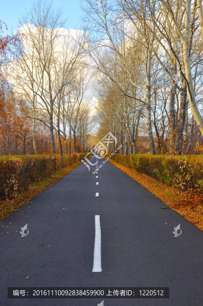 路