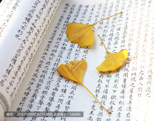 書(shū)籍銀杏葉