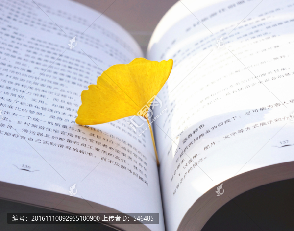 銀杏葉,書中
