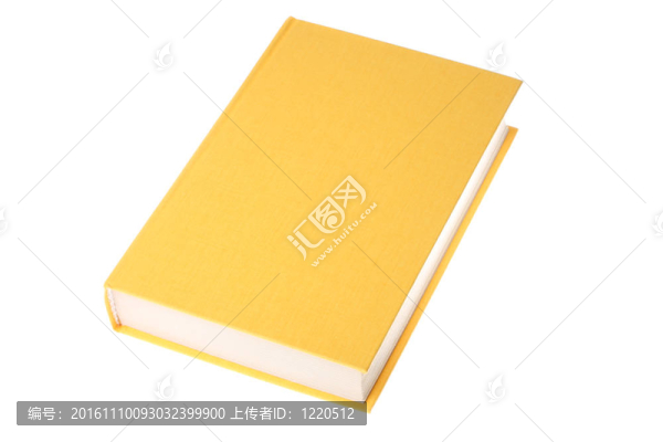 黃皮書