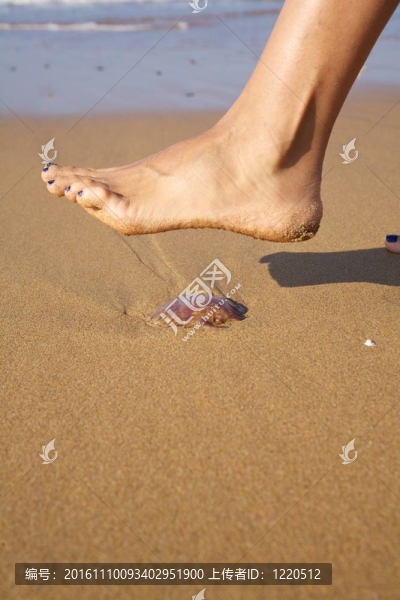 海灘上的危險