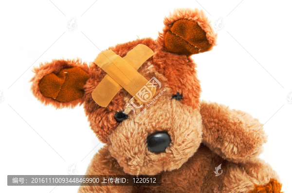 熊