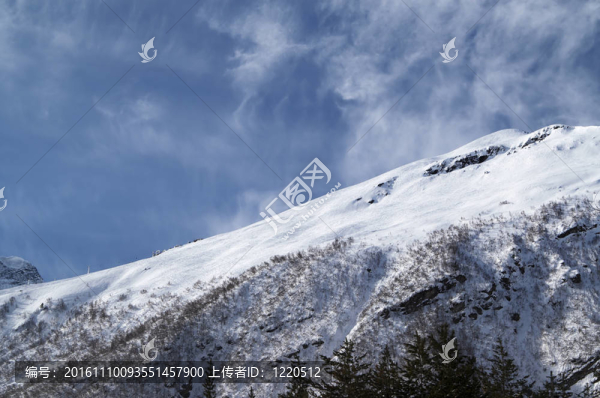 滑雪坡觀