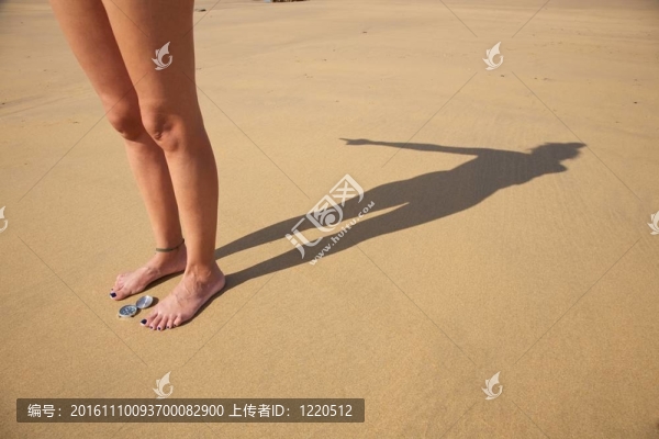 遮蔭的目的