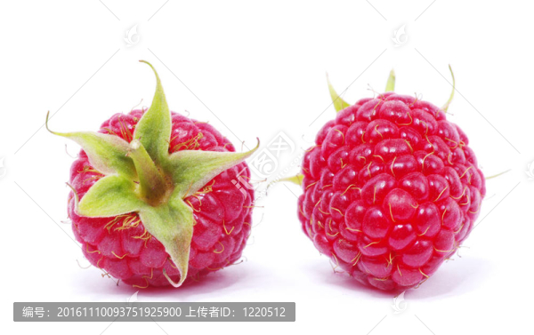 覆盆子