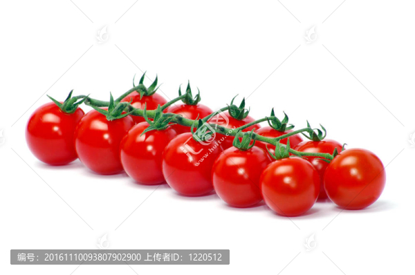 西紅柿