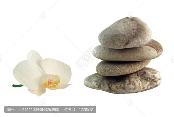 平衡石和蘭花
