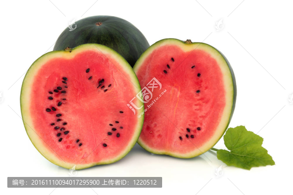 西瓜果實(shí)-匯圖網(wǎng) www.fosd68.com 西瓜果實(shí)