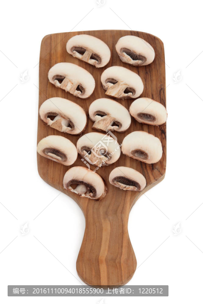 蕈類