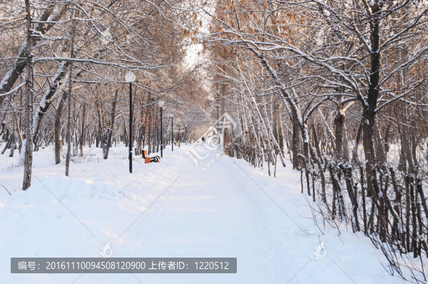 冬季公園