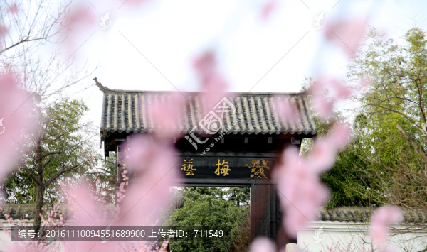 合肥植物園