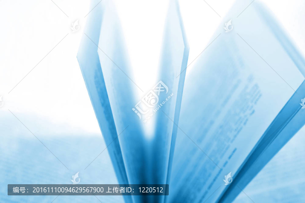 打開的書頁特寫