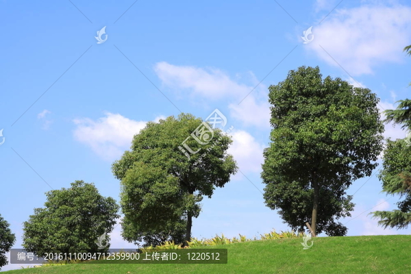 綠地；春季