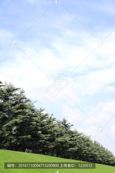 綠地；春季