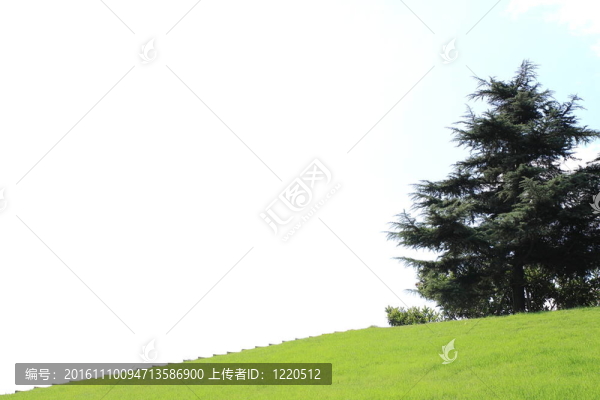 綠地；春季