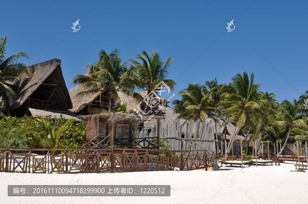 棕櫚樹和小屋的海灘度假村