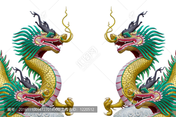 白色背景的中國美麗龍