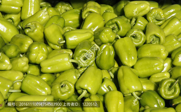 新鮮的青椒-匯圖網(wǎng) www.fosd68.com 新鮮的青椒