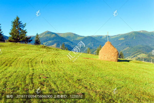 夏天的山村outscirts