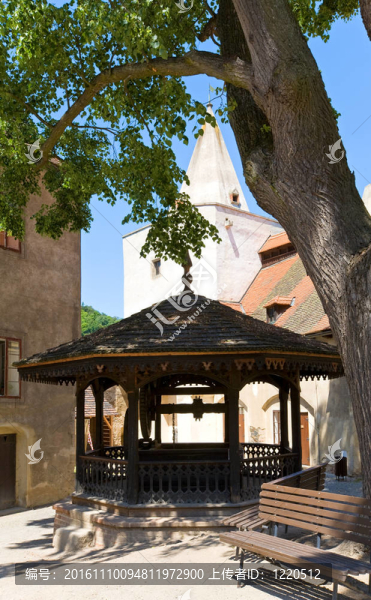 在捷克共和國krivoklat城堡庭院