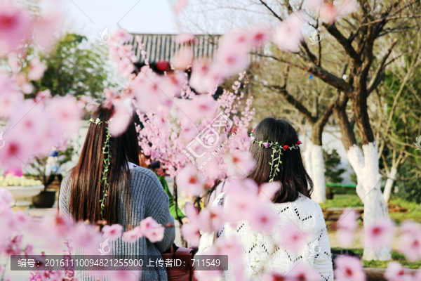 植物園櫻花游人