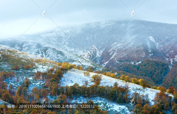 第一個(gè)冬天的雪和秋天五顏六色的樹葉在山上