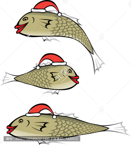 圣誕帽魚