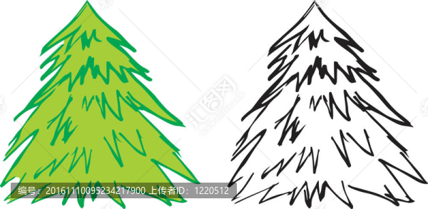 輪廓的冷杉