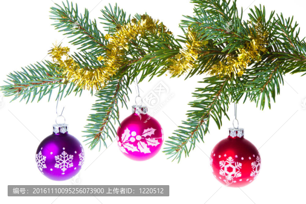 云杉樹枝上的圣誕球