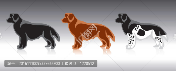 紐芬蘭島的狗；蘭西爾犬