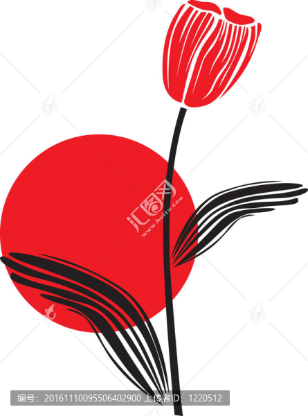 郁金香的日落