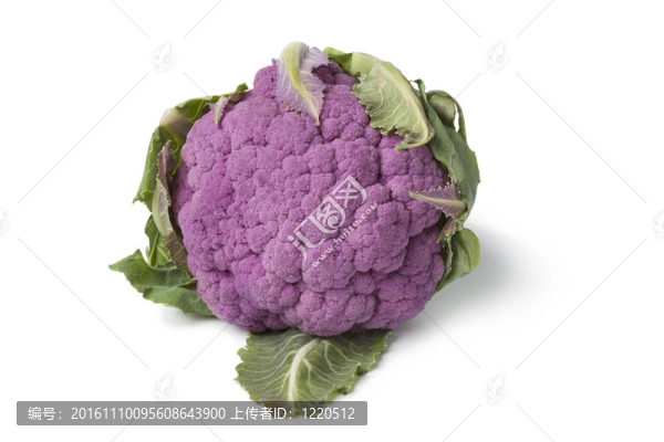 鮮紫色的花椰菜