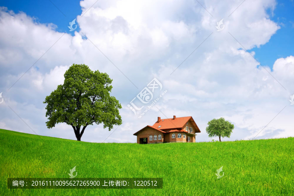 房子和綠地