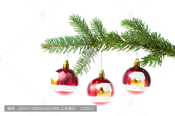 樹枝上的紅色圣誕球