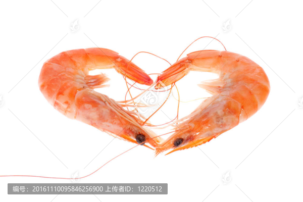 蝦