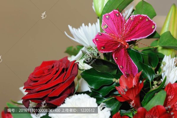 紅玫瑰與蝴蝶。