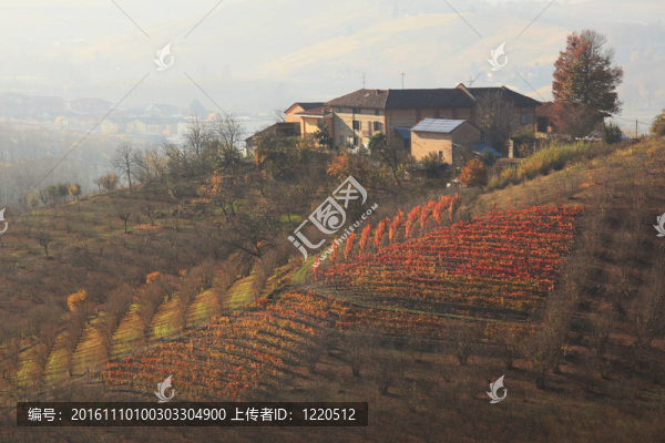 山上的房子。Piedmont；意大利北部。