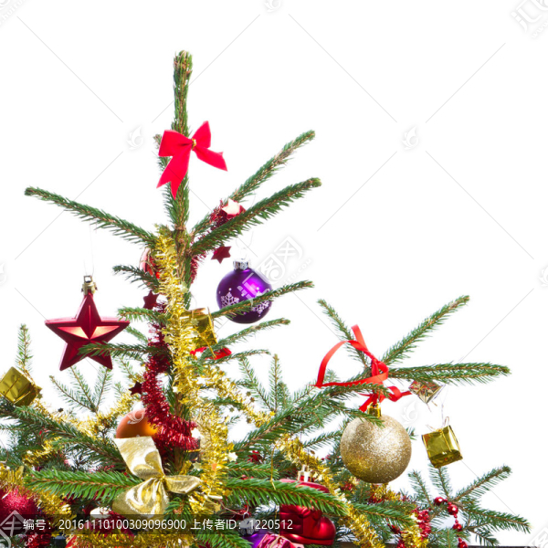 裝飾圣誕樹(shù)-匯圖網(wǎng) www.fosd68.com 裝飾圣誕樹(shù)