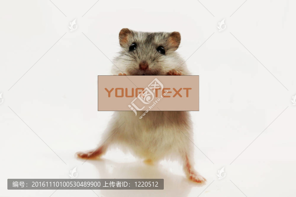 鼠標(biāo)拿著白色的標(biāo)志寫(xiě)我-匯圖網(wǎng) www.fosd68.com 鼠標(biāo)拿著白色的標(biāo)志寫(xiě)我