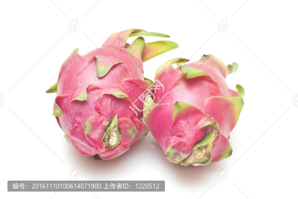 dragonfruits孤立在白色背景